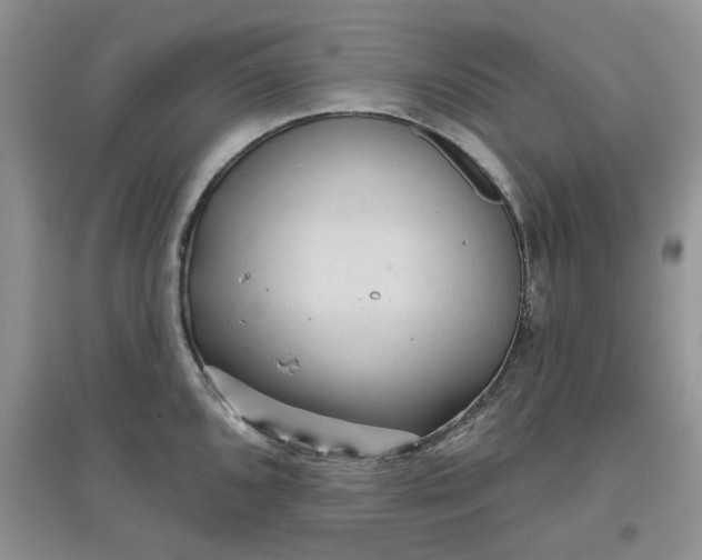 X0000097651096200803142104