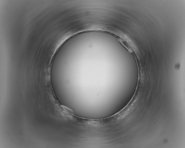 X0000097651097200803142104