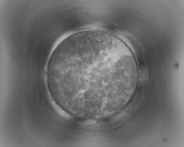 X0000097651098200803142104