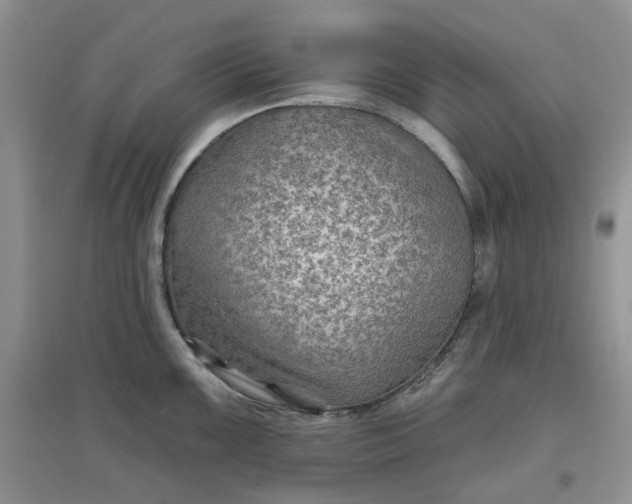 X0000097651099200803142104