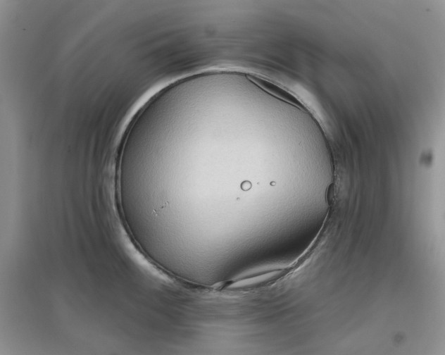 X0000097651100200803142104