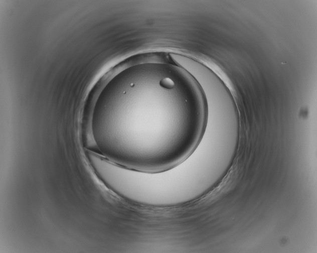 X0000097651101200803142104