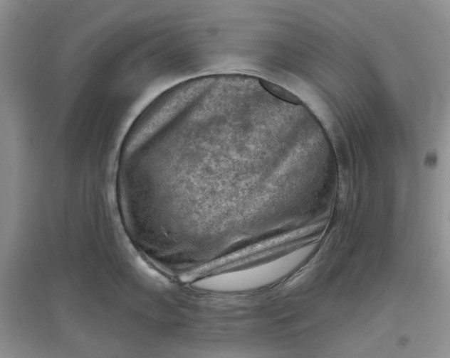 X0000097651102200803142104