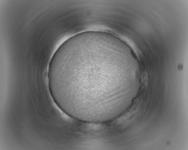 X0000097651103200803142104