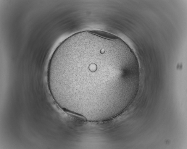 X0000097651104200803142104