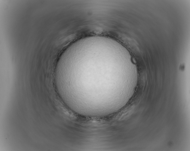 X0000097651105200803142103