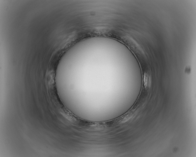 X0000097651107200803142103