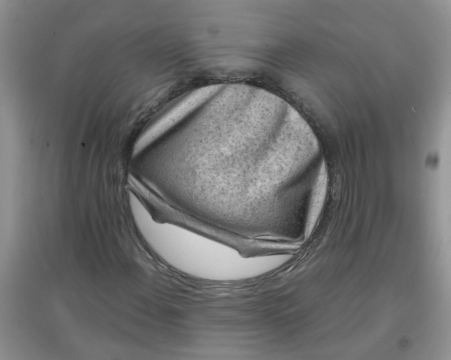 X0000097651108200803142103