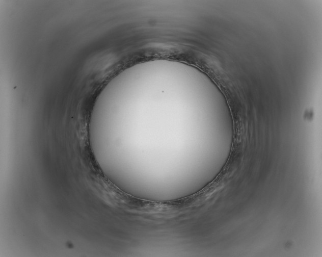 X0000097651109200803142104