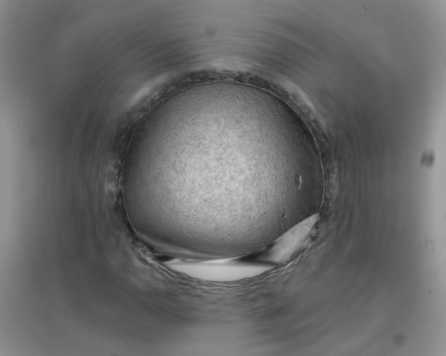 X0000097651110200803142104