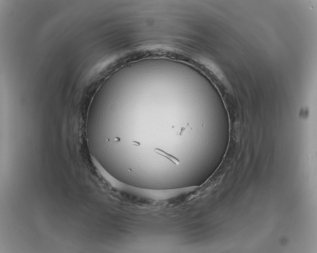 X0000097651111200803142104