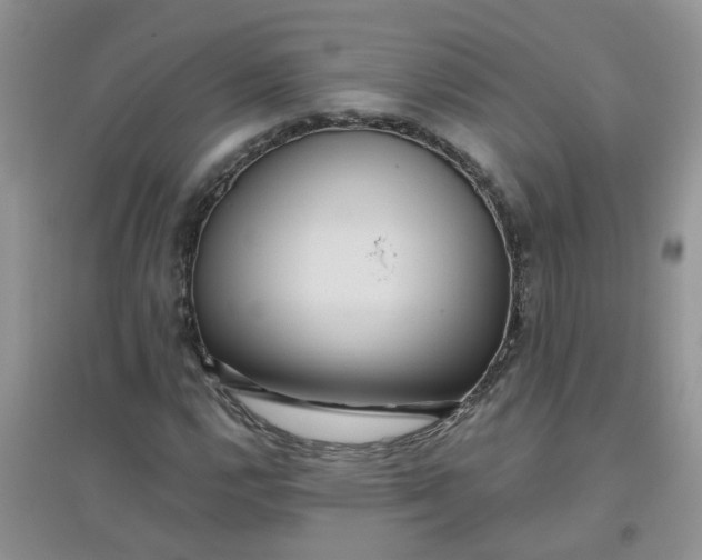 X0000097651112200803142104