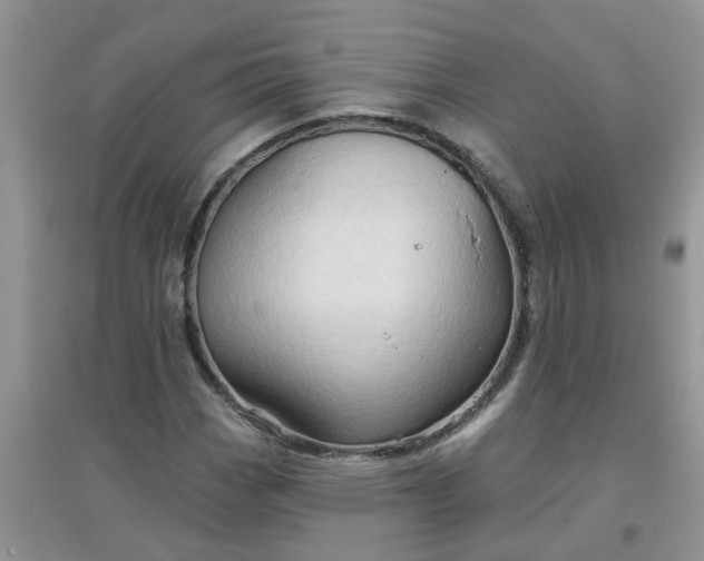 X0000097651113200803142104