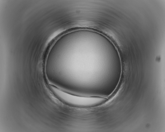 X0000097651114200803142104