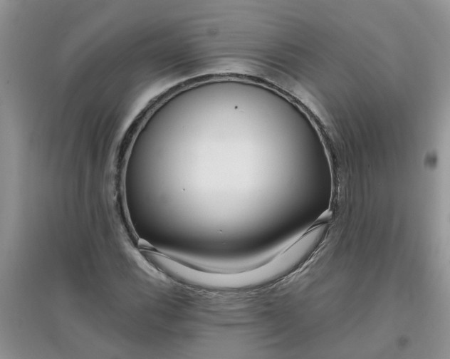 X0000097651116200803142104