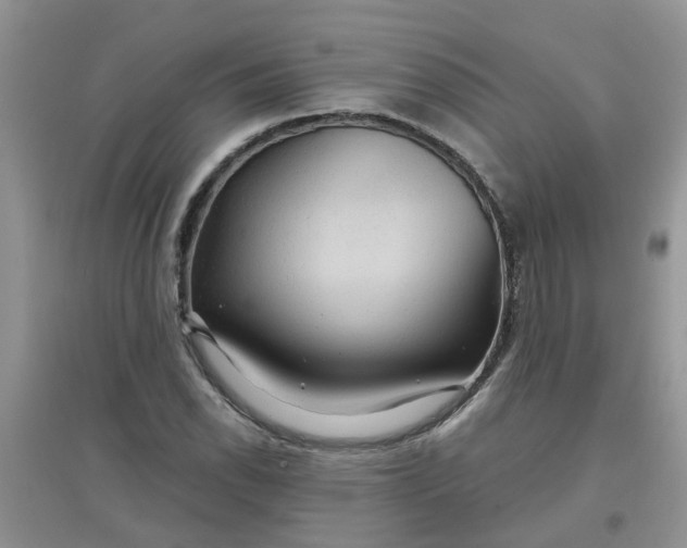 X0000097651118200803142104