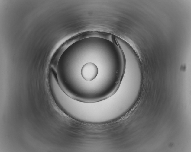 X0000097651120200803142104