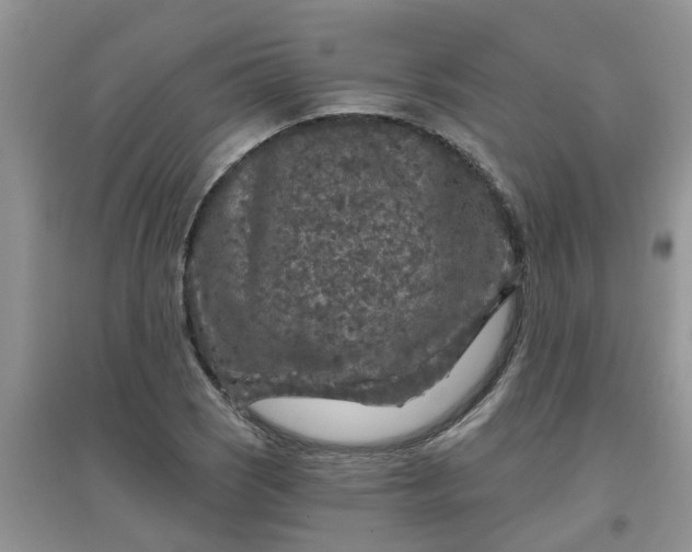 X0000097651121200803142104