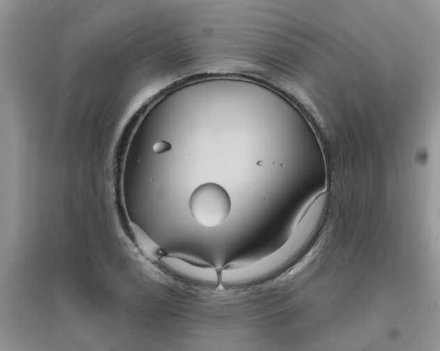 X0000097651122200803142104