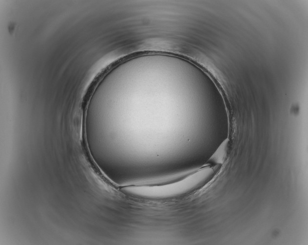 X0000097651123200803142104