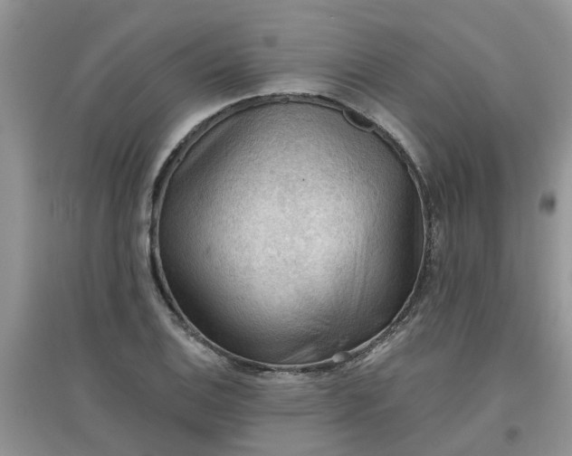 X0000097651124200803142104