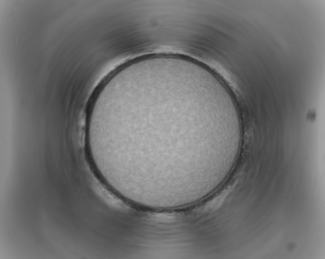 X0000097651126200803142104