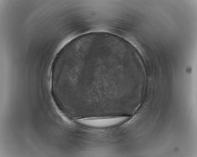 X0000097651127200803142104