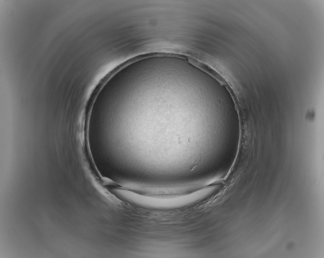 X0000097651128200803142104