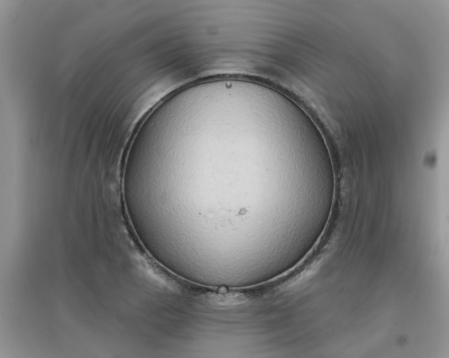 X0000097651129200803142104