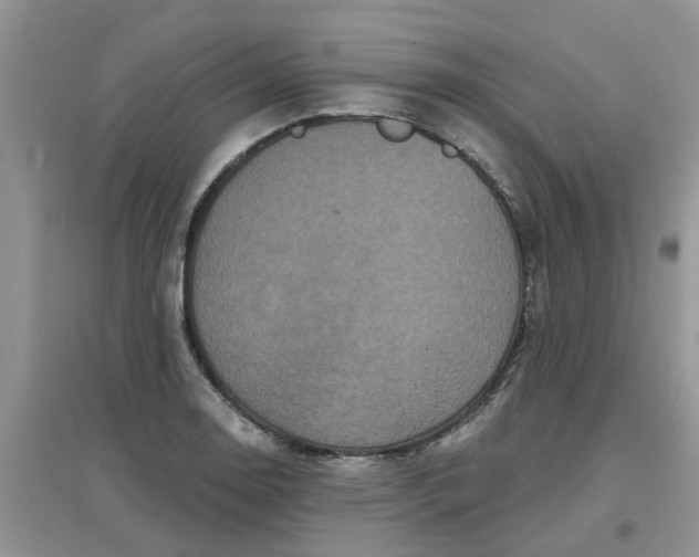 X0000097651130200803142104