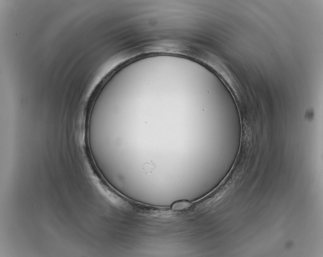 X0000097651131200803142104