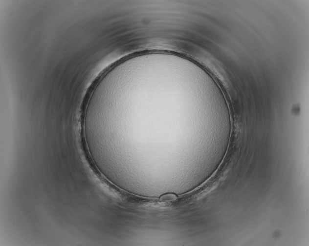 X0000097651133200803142104