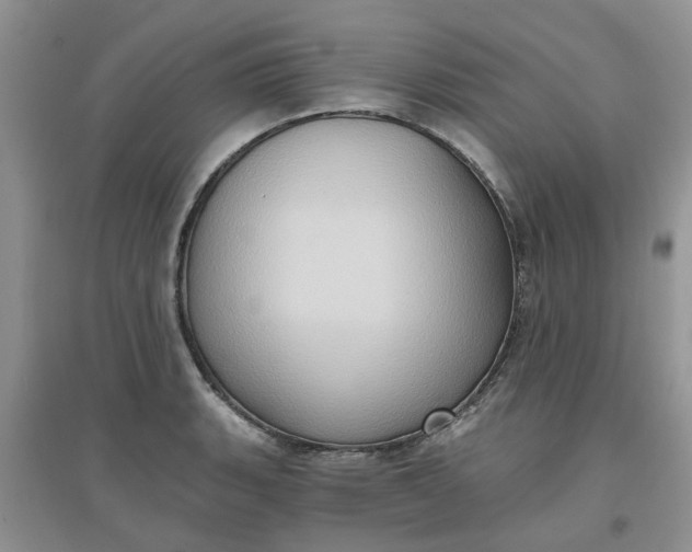 X0000097651135200803142104