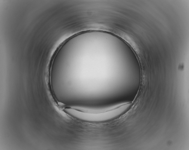 X0000097651136200803142104