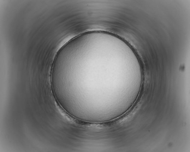 X0000097651137200803142104