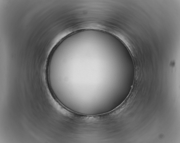 X0000097651139200803142104