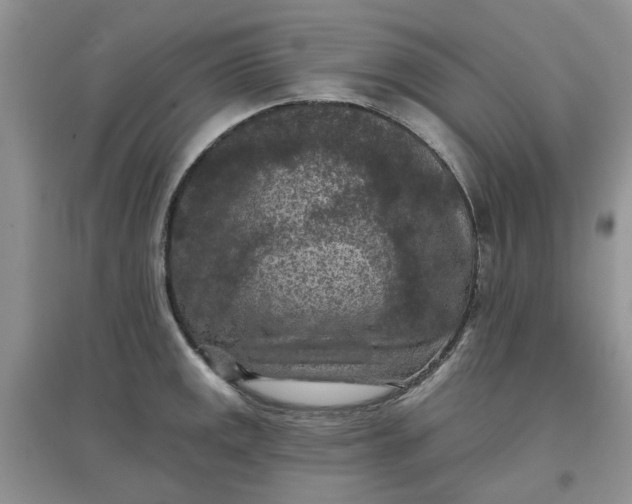 X0000097651141200803142104