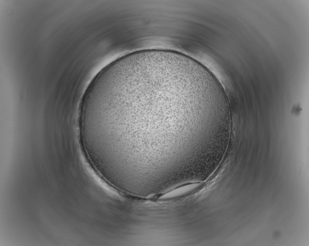 X0000097651142200803142104