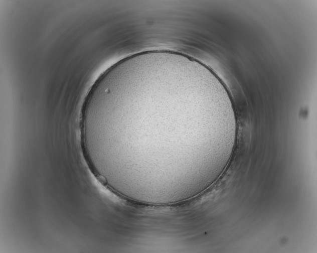 X0000097651143200803142104