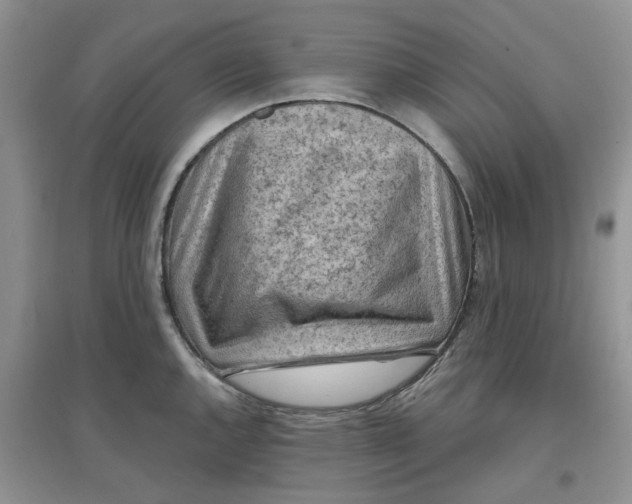 X0000097651144200803142104