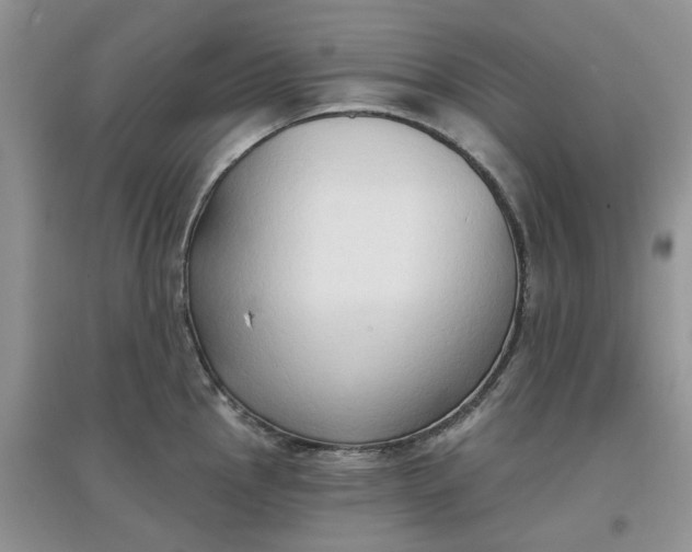 X0000097651145200803142104