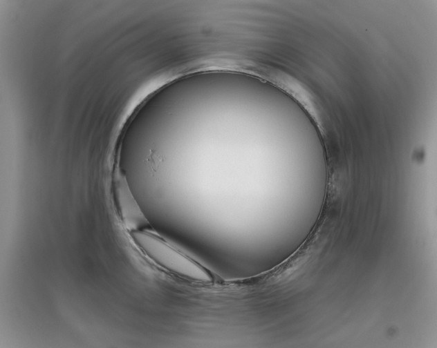 X0000097651146200803142104