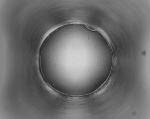 X0000097651149200803142104