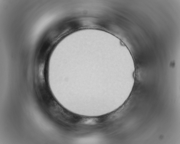 X0000097651150200803142104