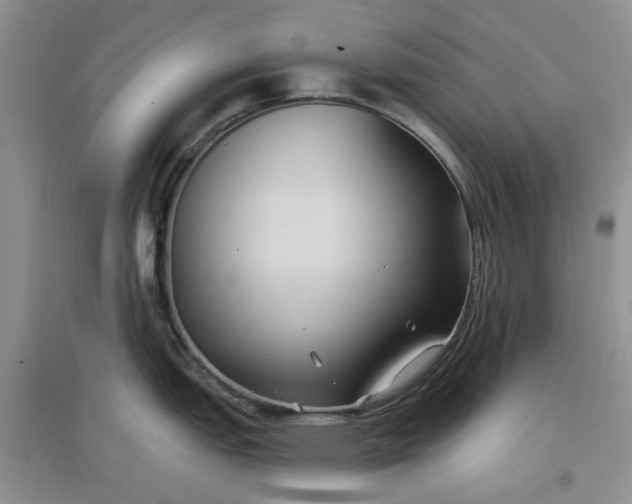 X0000097651151200803142104