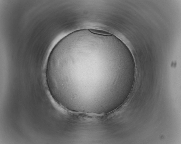 X0000097651152200803142104