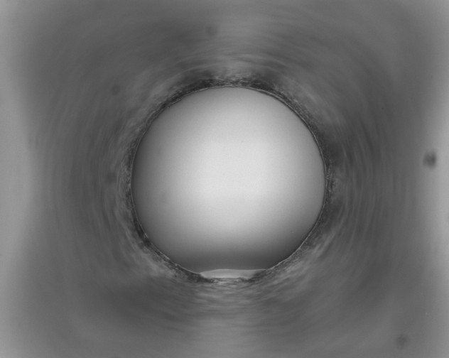 X0000097651153200803142103