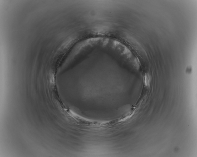 X0000097651155200803142103