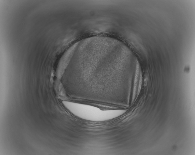 X0000097651156200803142103