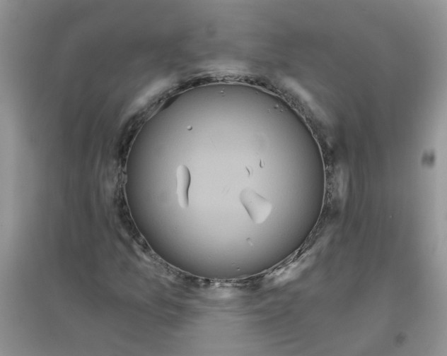 X0000097651157200803142103